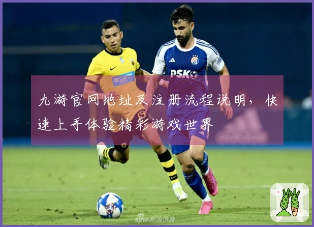 九游官网地址及注册流程说明，快速上手体验精彩游戏世界